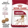 Foto 3 de Royal Canin Medium Adult pienso para perro de raza mediana, Peso 15 + 3 Kg ¡Gratis!