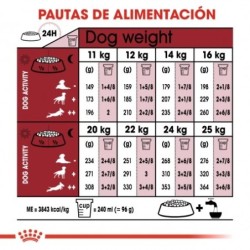 Royal Canin Medium Adult pienso para perro de raza mediana, Peso 15 + 3 Kg ¡Gratis!