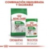 Foto 6 de Royal Canin Mini Adult (Sobre) comida húmeda