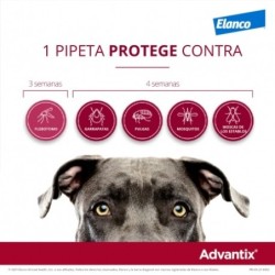 Collar Seresto menos de 8kg + Advantix 4 pipetas 4-10kg