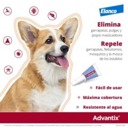 Collar Seresto menos de 8kg + Advantix 4 pipetas 4-10kg