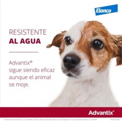 Collar Seresto menos de 8kg + Advantix 4 pipetas 4-10kg