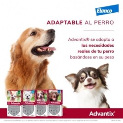 Collar Seresto menos de 8kg + Advantix 4 pipetas 4-10kg