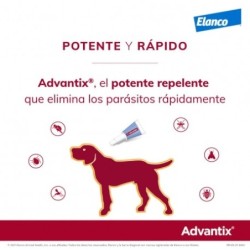 Collar Seresto menos de 8kg + Advantix 4 pipetas 4-10kg