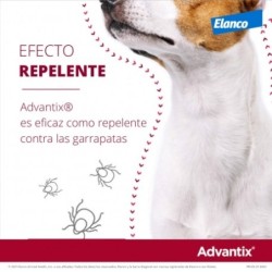 Collar Seresto menos de 8kg + Advantix 4 pipetas 4-10kg