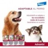 Foto 11 de Collar Seresto menos de 8kg + Advantix 4 pipetas 0-4kg para perros min