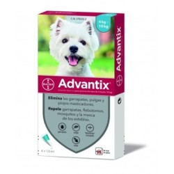 Advantix Pack Ahorro 8 pipetas para para perros pequeños (4-10kg)