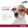 Foto 9 de Advantix Pack Ahorro 8 pipetas para para perros pequeños (4-10kg)