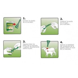 Frontline Tri-Act Pack Ahorro 6 pipetas para perros medianos (10-20KG)