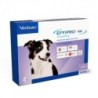 Foto 2 de Effipro Duo pipetas antiparasitarias para perros