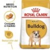 Foto 1 de Royal Canin Dog Bulldog Adult 12 Kg