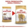 Foto 3 de Royal Canin Dog Bulldog Adult 12 Kg