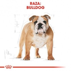 Royal Canin Dog Bulldog Adult 12 Kg