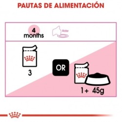 Royal Canin Kitten comida húmeda en salsa para gatitos