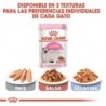 Foto 7 de Royal Canin Kitten comida húmeda en salsa para gatitos