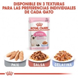 Royal Canin Kitten Pouch ( Jelly ) 85gr. Comida húmeda gatitos.