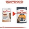 Foto 3 de Royal Canin Intense Beauty Pouch ( Jelly ) 85 gr. Comida húmeda.