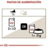 Foto 6 de Royal Canin Ageing +12 Pouch ( Jelly) 85 gr. Comida húmeda.