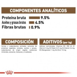 Royal Canin Ageing +12 Pouch ( Jelly) 85 gr. Comida húmeda.