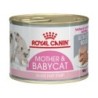 Foto 1 de Royal Canin BabyCat Instinctive Húmedo 195 gr para gatitos.