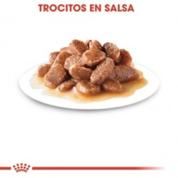 Royal Canin Instinctive (en Salsa) Pouch 85gr. Comida húmeda para gato adulto