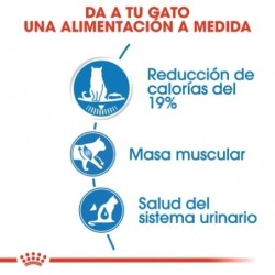 Royal Canin Ultra Light 10 para gatos adultos