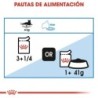 Foto 7 de Royal Canin Ultra Light 10 para gatos adultos