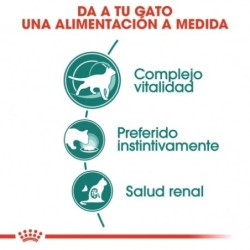 Royal canin Instinctive +7 comida húmeda para gatos sénior