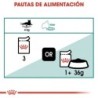 Foto 6 de Royal canin Instinctive +7 comida húmeda para gatos sénior