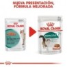 Foto 8 de Royal canin Instinctive +7 comida húmeda para gatos sénior