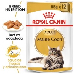 Royal Canin Maine Coon Pouch. Comida húmeda raza