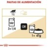 Foto 7 de Royal Canin Maine Coon Pouch. Comida húmeda raza