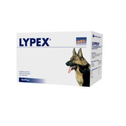 Lypex para problema de pancreas. Enzimas pancreaticas para perros y gatos