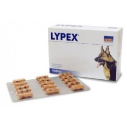 Lypex para problema de pancreas. Enzimas pancreaticas para perros y gatos