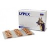 Foto 2 de Lypex para problema de pancreas. Enzimas pancreaticas para perros y gatos