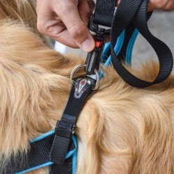 Arnes Agila Fluo para perros Azul Ferplast