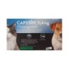 Foto 1 de Elanco Capstar 1-11 Kg para Perros Pequeños y Gatos