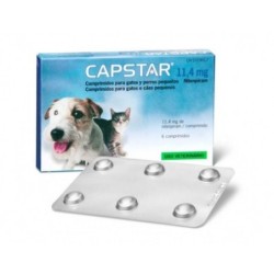 Elanco Capstar 1-11 Kg para Perros Pequeños y Gatos