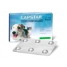 Foto 3 de Elanco Capstar 1-11 Kg para Perros Pequeños y Gatos