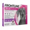 Foto 2 de Pack Súper Protección: Frontpro Comprimidos Masticables 25-50kg + Frontline Tri-Act 3 pipetas (20-40kg) para perros grandes