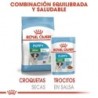 Foto 6 de Royal Canin Mini Puppy (Sobre) comida húmeda