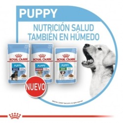 Royal Canin Mini Puppy (Sobre) comida húmeda