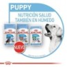 Foto 9 de Royal Canin Mini Puppy (Sobre) comida húmeda