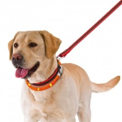 Collar Night Sobrecollar luminoso Over Lead Ferplast