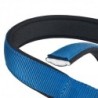 Foto 3 de Collar Nylon Daytona C Azul para perros Ferplast