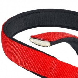 Collar Nylon Daytona C Rojo para perros Ferplast