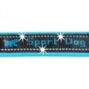 Foto 6 de Collar Sport Dog C Blue Ferplast