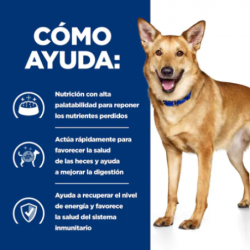 Hills ID Canine i/d PD - Prescription Diet dietas para perros