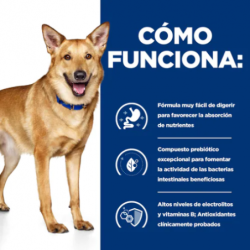 Hills ID Canine i/d PD - Prescription Diet dietas para perros