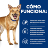 Foto 7 de Hills ID Canine i/d PD - Prescription Diet dietas para perros